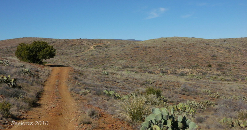 نام: double-track-with-juniper-and-trail-sign.jpg نمایش: 1478 اندازه: 145.8 کیلو بایت