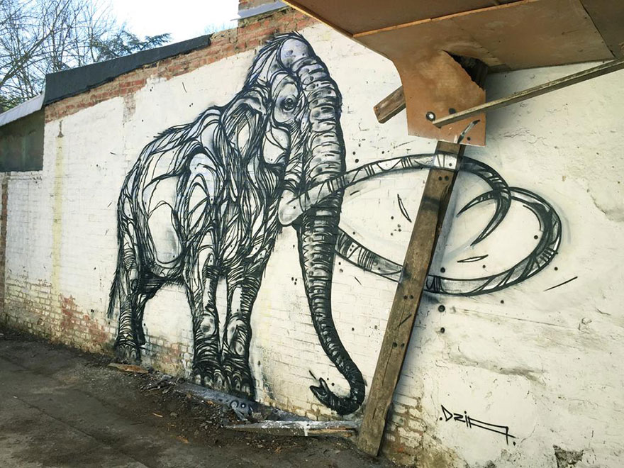 نام: street-art-geometric-line-animals-dzia-belgium-13.jpg نمایش: 2415 اندازه: 171.2 کیلو بایت