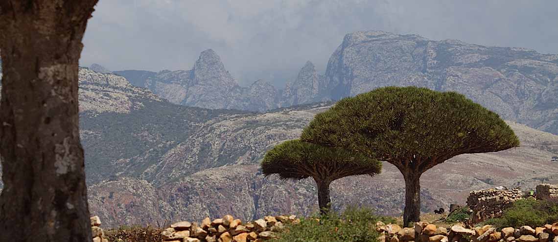 نام: socotra.jpg نمایش: 428 اندازه: 83.4 کیلو بایت