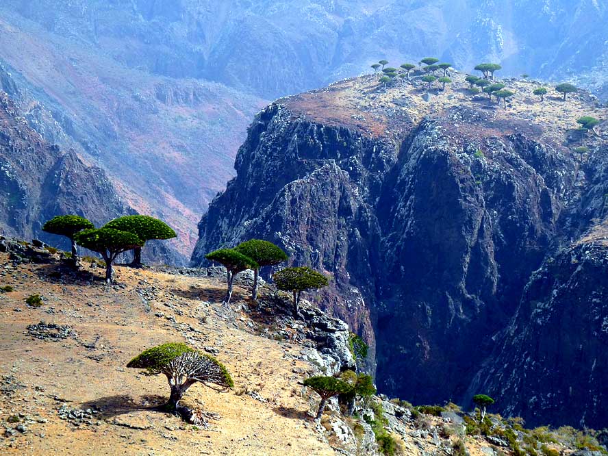 نام: socotra-14.jpg نمایش: 418 اندازه: 140.7 کیلو بایت