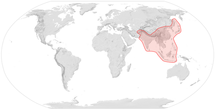 نام: Apis_cerana_distribution_map.svg.png نمایش: 319 اندازه: 105.4 کیلو بایت